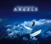 Angels-Within-Temptation-angels-5255467-1631-1423